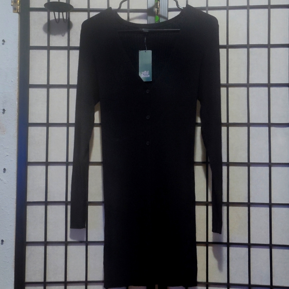 Black Wild Fable dress